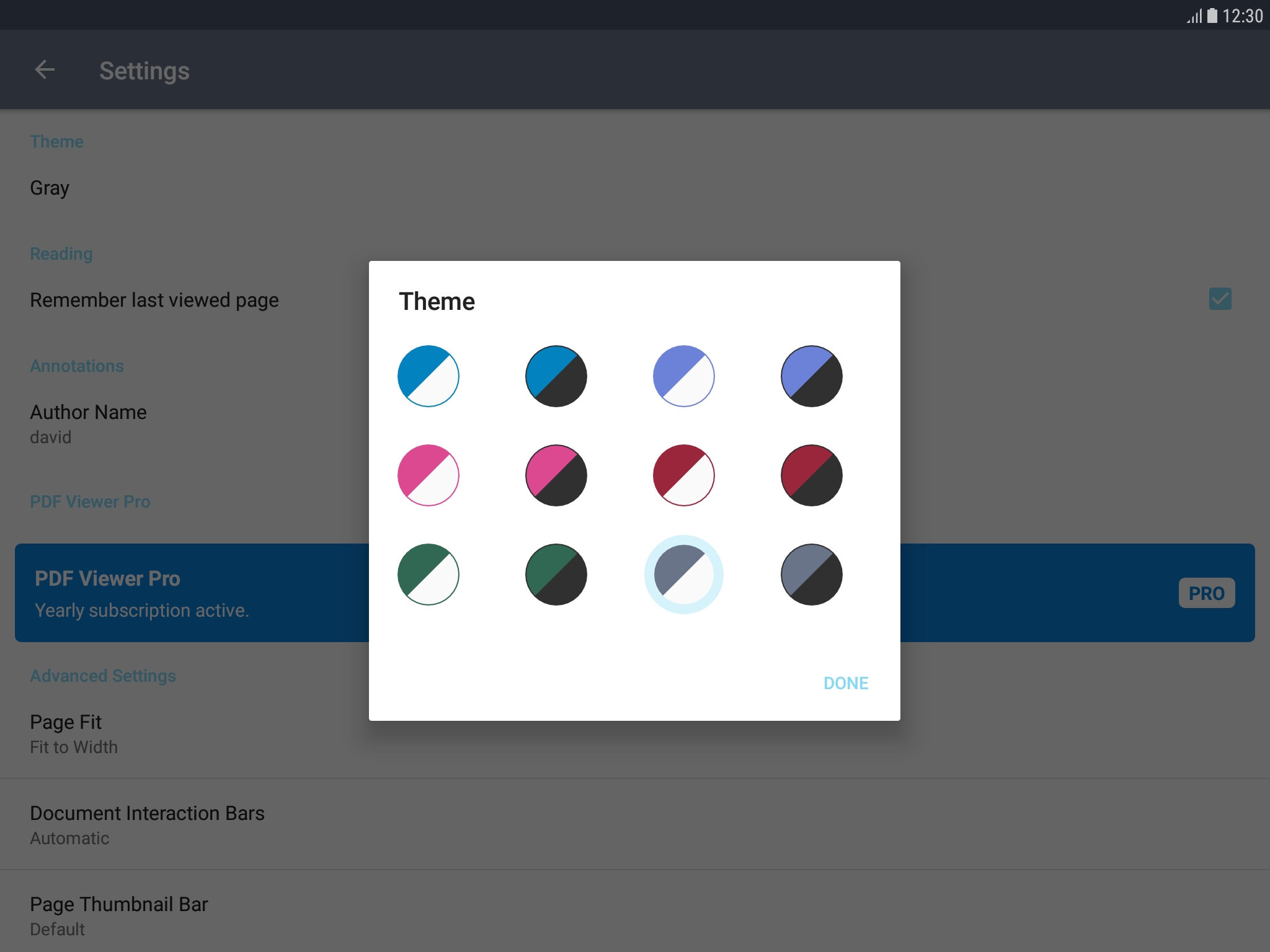 Pro Themes
